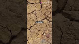 Earths Vanishing Soil A Growing Problem facts amazing soil earth problem [upl. by Sanalda990]