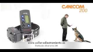 canicom 200 collar adiestramiento para perros [upl. by Imoyaba30]