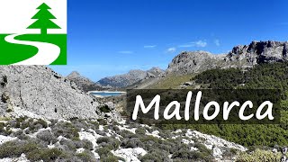 Die schönsten Wanderungen auf Mallorca [upl. by Olette]