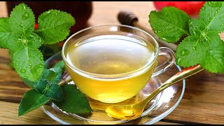 Super Healthy Broad leaf thyme Cuban OreganoTea For Pain Relief  Health amp Wellness [upl. by Oirretno]