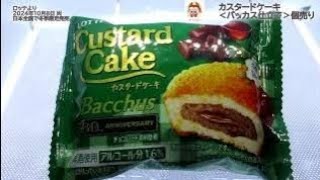 【ロッテ】カスタードケーキ＜バッカス仕立て＞個売りを食べてみた！カスタードケーキとバッカスの夢のコラボ！カスタードケーキでバッカスの味わいを表現した、洋酒香る大人のためのカスタードケーキ！ [upl. by Yerga]