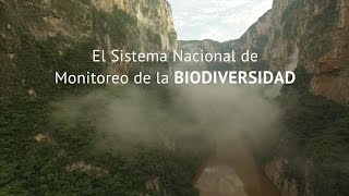 Sistema Nacional de Monitoreo de la Biodiversidad02 [upl. by Gaeta193]