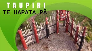 NEW ZEALAND MAORI SITE TAUPIRI [upl. by Lazarus264]