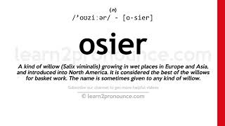 Pronunciation of Osier  Definition of Osier [upl. by Neelahtak753]