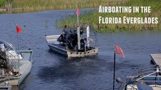 Florida Everglades Airboat Ride [upl. by Tymes793]