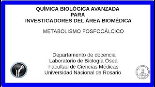 metabolismo fosfocalcico [upl. by Tali]