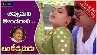 Jivvu Mani Kondagali Video Song  Lankeshwarudu Telugu Movie Songs  Chiranjeevi  Radha  TVNXT [upl. by Zined727]