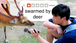 interviewing deer at quotDeer Cityquot Nara Japan [upl. by Yblehs935]