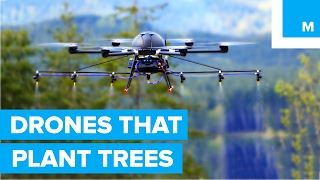 How Drones are Helping to Plant Trees  A Cleaner Future [upl. by Yelrebmik48]