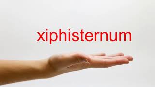 How to Pronounce xiphisternum  American English [upl. by Leiria720]