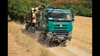 Tatra Phoenix 2022  Lesovůz  Working in forest  Timber loading  Holztransport [upl. by Gabi]