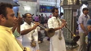 Singapore Sri Srinivasa Perumal Temple Thirukalyanam [upl. by Keligot75]