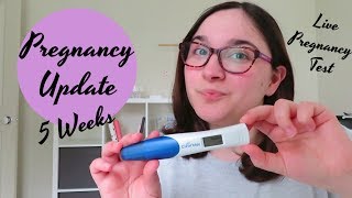 Live Pregnancy Test And 5 Weeks Pregnancy Update  ClearBlue Digital With Weeks Indicator [upl. by Ziana899]