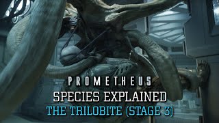 The Trilobite Heptopus Tabellarium XX033 Stage 13  Alien Species Explained [upl. by Nosnek424]