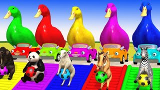 4 Giant Duck Monkey Lionpiglet MCQUEN cat TigerSheep Transfiguration funnyanimal video [upl. by Bunni]