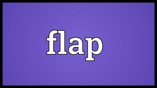 Flap Meaning [upl. by Kiley904]