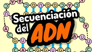 SECUENCIACIÓN DEL ADN y ARN⚡ ejercicios de secuencias de las bases nivel experto [upl. by Elleinod]