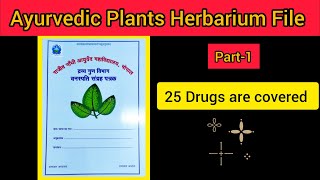 Ayurvedic Plants Herbarium File📙☘️ Dravyaguna Vigyana project  BAMS 2nd prof bamsnotes ayurveda [upl. by Hajidahk]