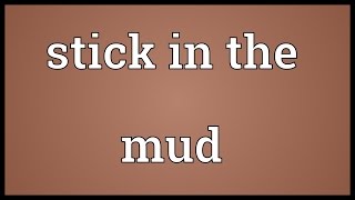 Stick in the mud Meaning [upl. by Wilda]