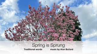 Alan Bullard Spring is Sprung [upl. by Lambert915]