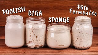 Yeasted Preferments Explained  Poolish Biga Sponge Pâte Fermentée [upl. by Pavyer]