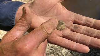 Minelab GPX5000  Detecting For Gold  Ant Finds his Biggest Gold Nugget  Victorian Goldfields [upl. by Belia648]