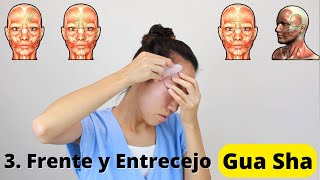 Masaje de la Frente y Entrecejo con Gua Sha Vídeo 6 CursoGuasha  Wabissabi [upl. by Werdnael81]