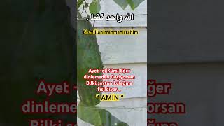 🔥ALLAH NAZARDAN KAZADAN BELADAN KORUSUN amin ayetelkürsi short shortvideo keşfet allah [upl. by Briney]