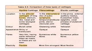 Anatomy 205 Hyaline Cartilage Location Nose MCQ Solved Question Paper [upl. by Leeann412]