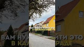 Найди их в Калининграде kaliningrad калининград история архитектура путешествия [upl. by Ahsaetal180]