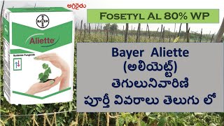 Bayer Aliette Fungicide in Telugu అలియెట్ట్ తెగులు నివారిణి  fosetyl al [upl. by Wehrle222]