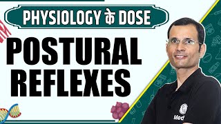 Postural Reflexes  1st Year MBBS  Dr Vivek  Physiology के Dose [upl. by Stucker875]