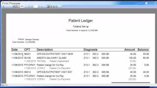 TotalMD Practice Management Video 4 Posting Charges Payments Statements amp Claims Management [upl. by Aleunamme]