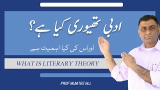 What is Literary Theory [upl. by Aciraj]