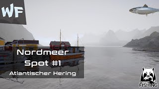 Russian Fishing 4 NordmeerNordsea Spot 1 [upl. by Ecinnaj]