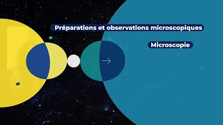 Préparations amp observations microscopiques  Microscopie [upl. by Nortna]