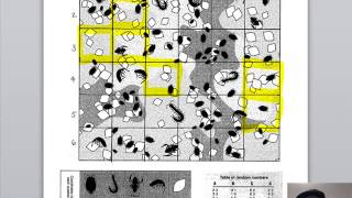 Sampling a Leaf Litter Population Tutorial [upl. by Nelehyram]