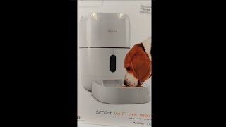 Configurar el Dispensador de alimento  Smart pet feeder de Nexxt [upl. by Stoddard]