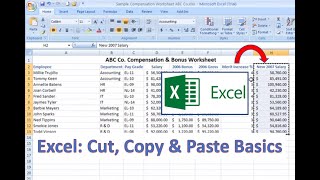 Excel HowTo Cut Copy and Paste Basics [upl. by Caffrey68]