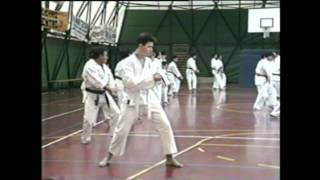 Toyama Sensei  Kata Seishan [upl. by Adda]