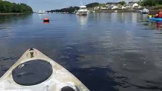 A glorious day on the River Moy in Ballina Co Mayo [upl. by Bartley]