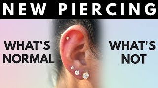 New Piercing Whats Normal Whats Not Things to Look Out For [upl. by Leina]