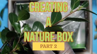 Nature Box Pt 2 [upl. by Inman]