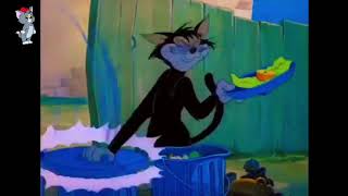 Tom And Jerry Bangla Carton Full Video [upl. by Sheryl]