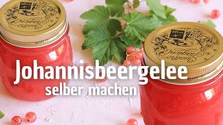 Johannisbeergelee einfach selber machen  Marmelade Rezept [upl. by Ahseket]