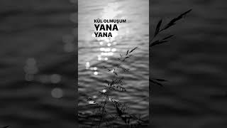 Manuş Baba Yana yana [upl. by Sidoeht]