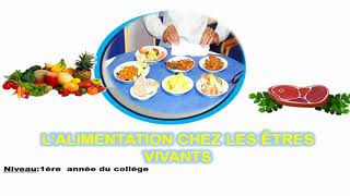 L’alimentation chez les êtres vivants 1 AC [upl. by Tewfik234]