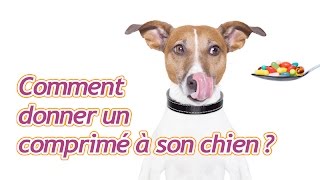 Comment donner un comprimé à son chien [upl. by Howund]