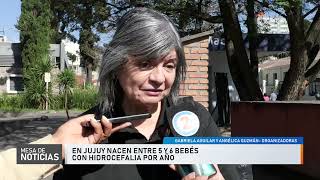 En Jujuy nacen entre 5 y 6 bebés con Hidrocefalia por año [upl. by Schoenburg]