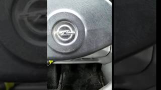 Opel Movano  Azzeramento spia serviceReset light Service [upl. by Llechtim]